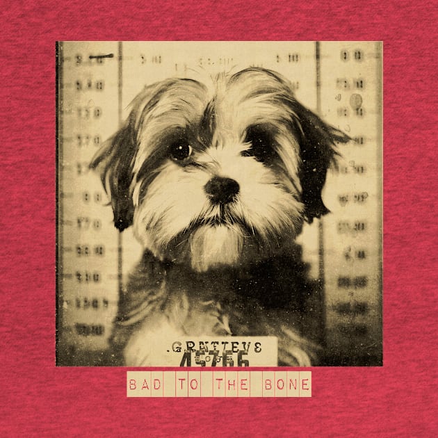 Bad to the Bone: A Mugshot of a Criminal Shih Poo Dog" by Quick Beach